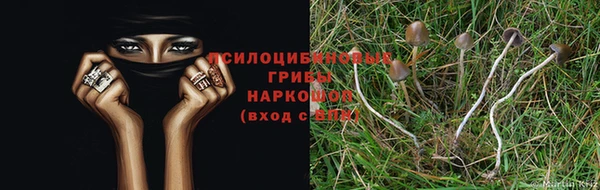 каннабис Пролетарск