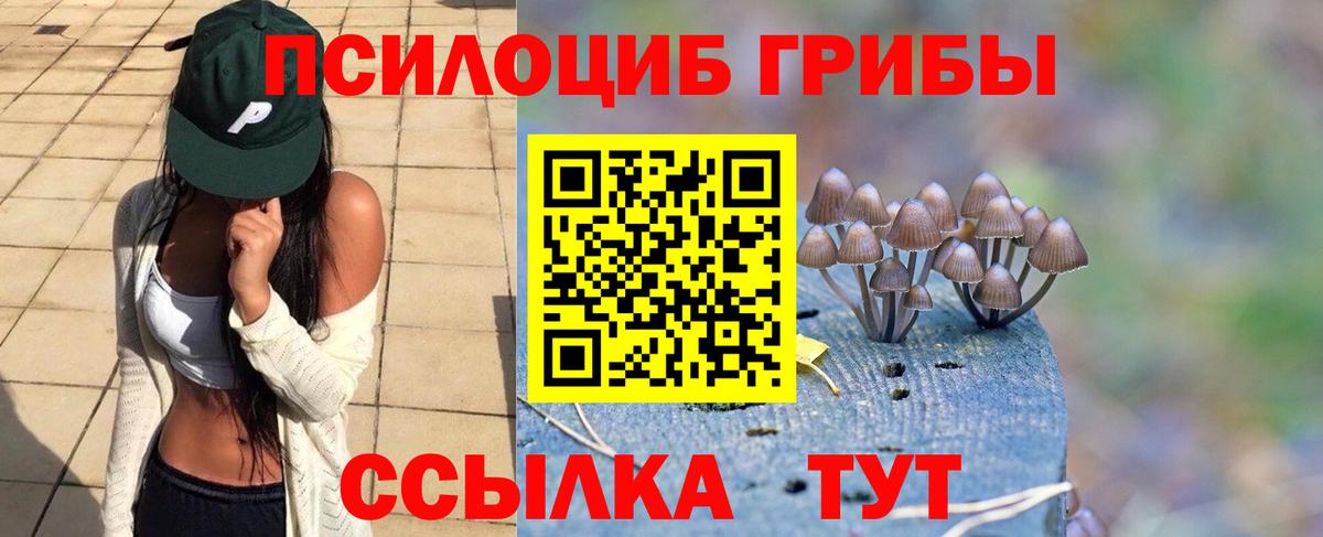 Псилоцибиновые грибы прущие грибы Советский